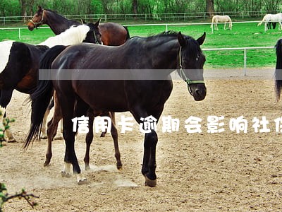 信用卡逾期会影响社保吗 信用卡逾期会影响社保吗