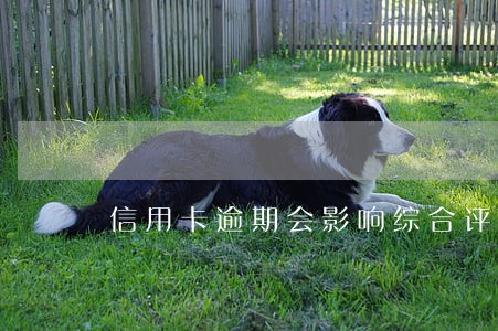信用卡逾期会影响综合评分吗 信用卡逾期会影响综合评分吗