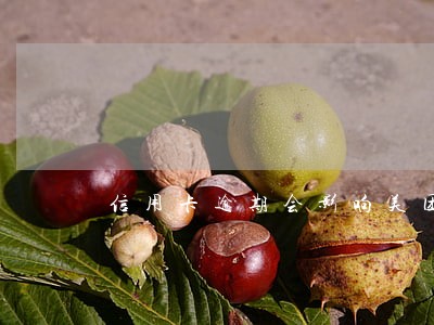 信用卡逾期会影响美团吗 信用卡逾期会影响美团吗