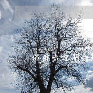信用卡逾期会影响老婆的政审吗 信用卡逾期会影响老婆的政审吗