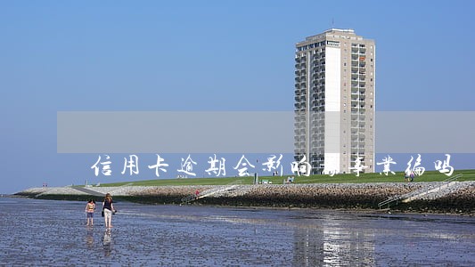 信用卡逾期会影响考事业编吗 信用卡逾期会影响考事业编吗