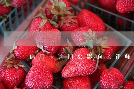 信用卡逾期会影响考律师吗 信用卡逾期会影响考律师吗