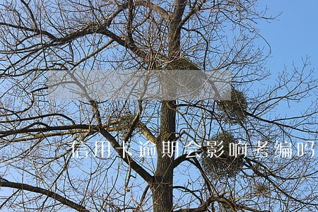 信用卡逾期会影响考编吗 信用卡逾期会影响考编吗