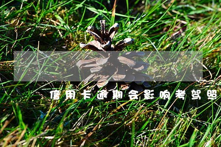 信用卡逾期会影响考驾照