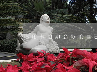 信用卡逾期会影响自己上学吗 信用卡逾期会影响自己上学吗