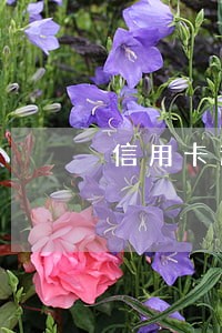 信用卡逾期会影响芝麻分吗 信用卡逾期会影响芝麻分吗