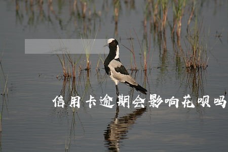 信用卡逾期会影响花呗吗 信用卡逾期会影响花呗吗