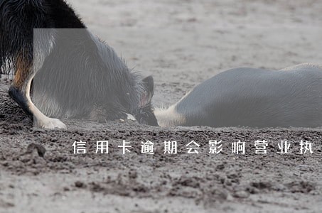 信用卡逾期会影响营业执照吗 信用卡逾期会影响营业执照吗