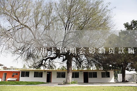 信用卡逾期会影响贷款嘛 信用卡逾期会影响贷款嘛
