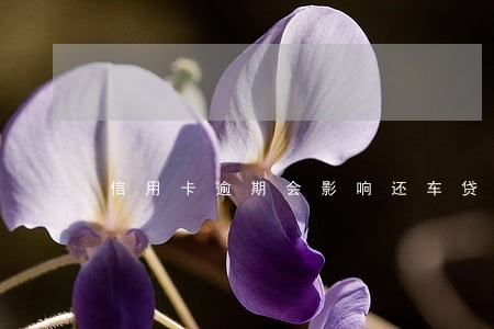 信用卡逾期会影响还车贷吗 信用卡逾期会影响还车贷吗