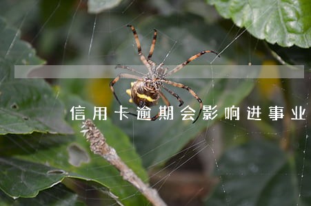 信用卡逾期会影响进事业单位吗