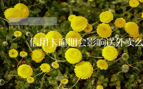 信用卡逾期会影响送外卖么