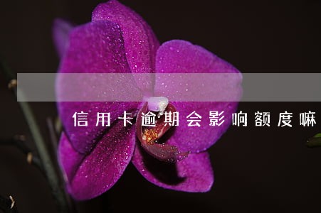 信用卡逾期会影响额度嘛 信用卡逾期会影响额度嘛