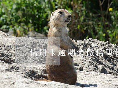 信用卡逾期会微信叫你还款么 信用卡逾期会微信叫你还款么