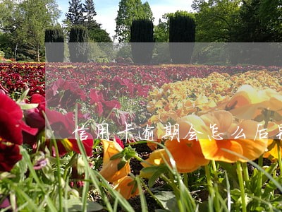 信用卡逾期会怎么后果严重 信用卡逾期会怎么后果严重