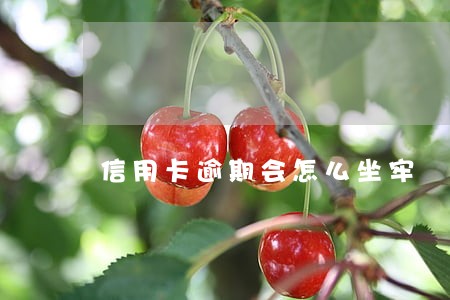 信用卡逾期会怎么坐牢 信用卡逾期会怎么坐牢