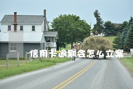 信用卡逾期会怎么立案