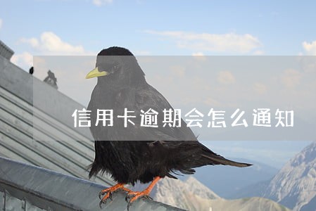 信用卡逾期会怎么通知 信用卡逾期会怎么通知