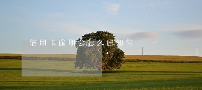 信用卡逾期会怎么通知你