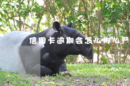 信用卡逾期会怎么那么严重 信用卡逾期会怎么那么严重