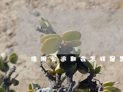 信用卡逾期会怎样是黑名单