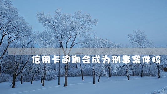 信用卡逾期会成为刑事案件吗 信用卡逾期会成为刑事案件吗