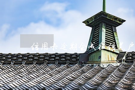 信用卡逾期会成征信黑户吗 信用卡逾期会成征信黑户吗