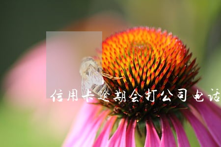 信用卡逾期会打公司电话