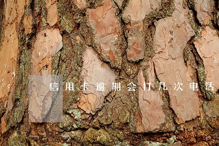 信用卡逾期会打几次电话催款 信用卡逾期会打几次电话催款