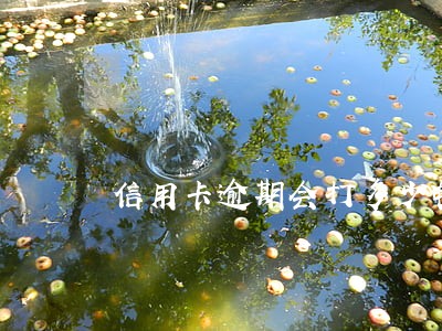 信用卡逾期会打多少电话