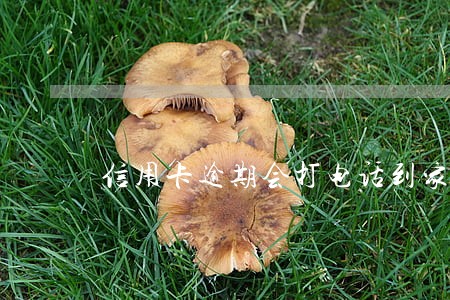 信用卡逾期会打电话到家里吗