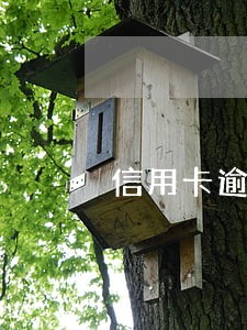 信用卡逾期会打电话嘛