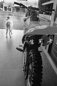 信用卡逾期会打电话给亲属转告吗 信用卡逾期会打电话给亲属转告吗