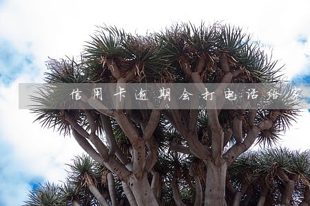 信用卡逾期会打电话给家里人 信用卡逾期会打电话给家里人