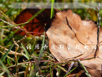 信用卡逾期会打电话给新单位吗 信用卡逾期会打电话给新单位吗