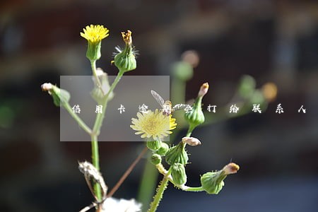 信用卡逾期会打给联系人 信用卡逾期会打给联系人