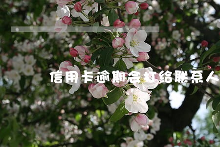 信用卡逾期会打给联系人吗 信用卡逾期会打给联系人吗
