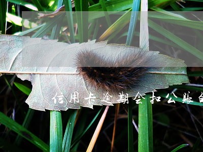 信用卡逾期会扣公账的钱吗 信用卡逾期会扣公账的钱吗