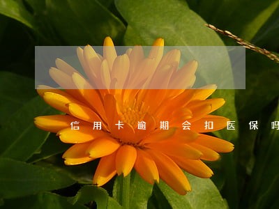 信用卡逾期会扣医保吗 信用卡逾期会扣医保吗