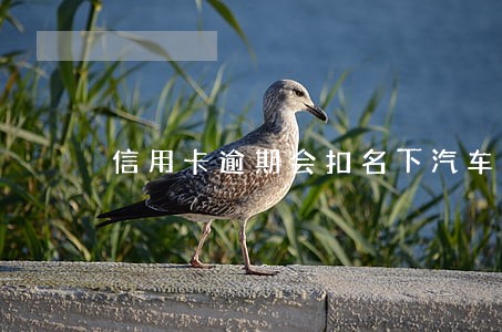 信用卡逾期会扣名下汽车么 信用卡逾期会扣名下汽车么