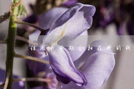 信用卡逾期会扣存折的钱吗