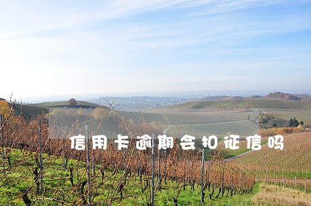 信用卡逾期会扣征信吗 信用卡逾期会扣征信吗