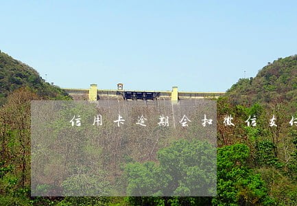 信用卡逾期会扣微信支付宝吗 信用卡逾期会扣微信支付宝吗