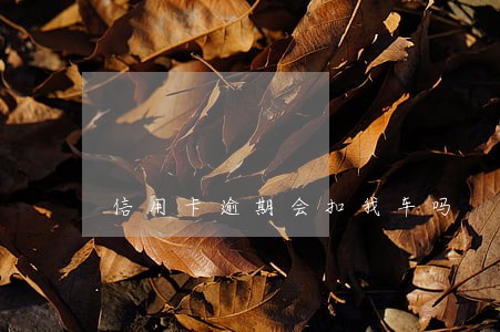 信用卡逾期会扣我车吗 信用卡逾期会扣我车吗