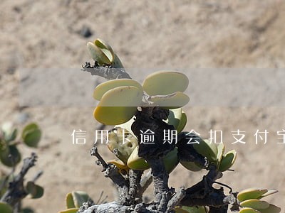 信用卡逾期会扣支付宝的钱吗 信用卡逾期会扣支付宝的钱吗