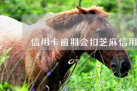 信用卡逾期会扣芝麻信用吗 信用卡逾期会扣芝麻信用吗