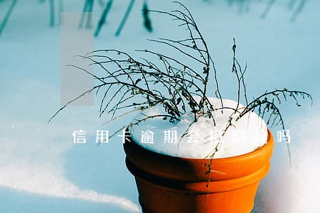 信用卡逾期会扣额度吗 信用卡逾期会扣额度吗