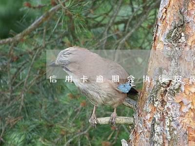 信用卡逾期会执行按揭房吗 信用卡逾期会执行按揭房吗