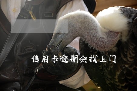 信用卡逾期会找上门 信用卡逾期会找上门