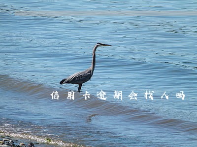 信用卡逾期会找人吗 信用卡逾期会找人吗